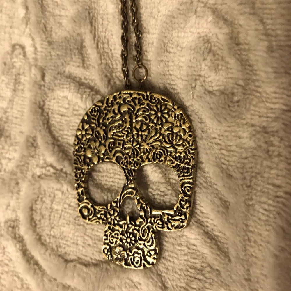 Sweater length bronze skull necklace
